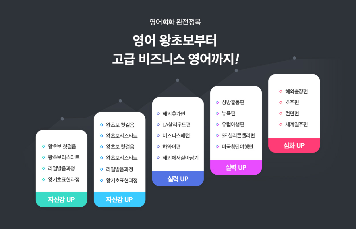 영어 왕초보부터 고급 비즈니스 영어까지!